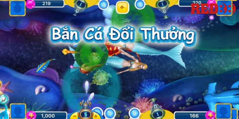 Tìm hiểu những thuật ngữ bắn cá